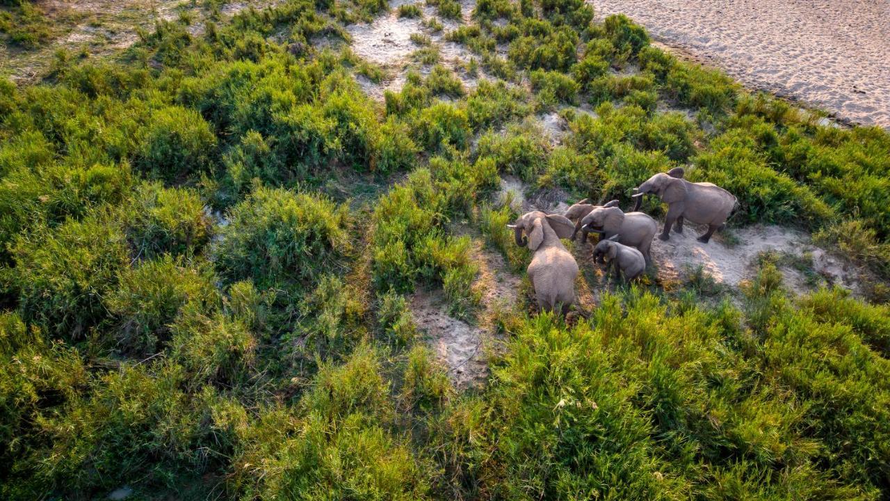 Buckler'S Africa Lodge Kruger Park Komatipoort Eksteriør bilde