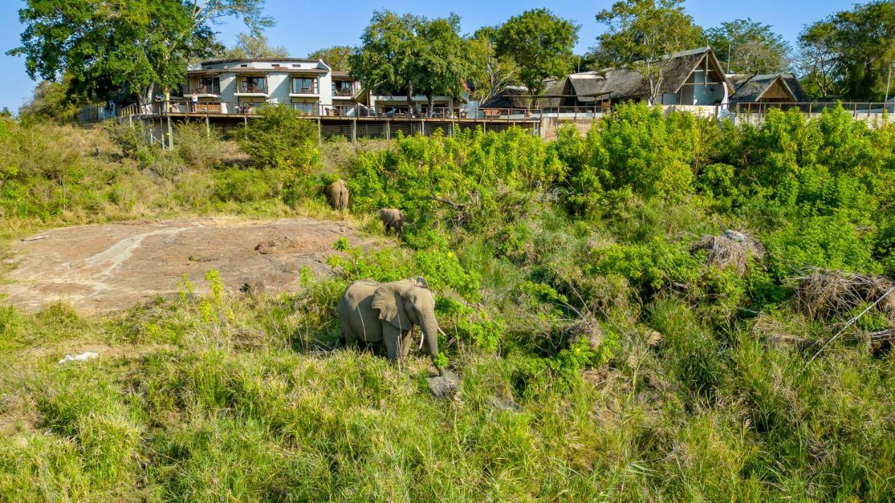 Buckler'S Africa Lodge Kruger Park Komatipoort Eksteriør bilde