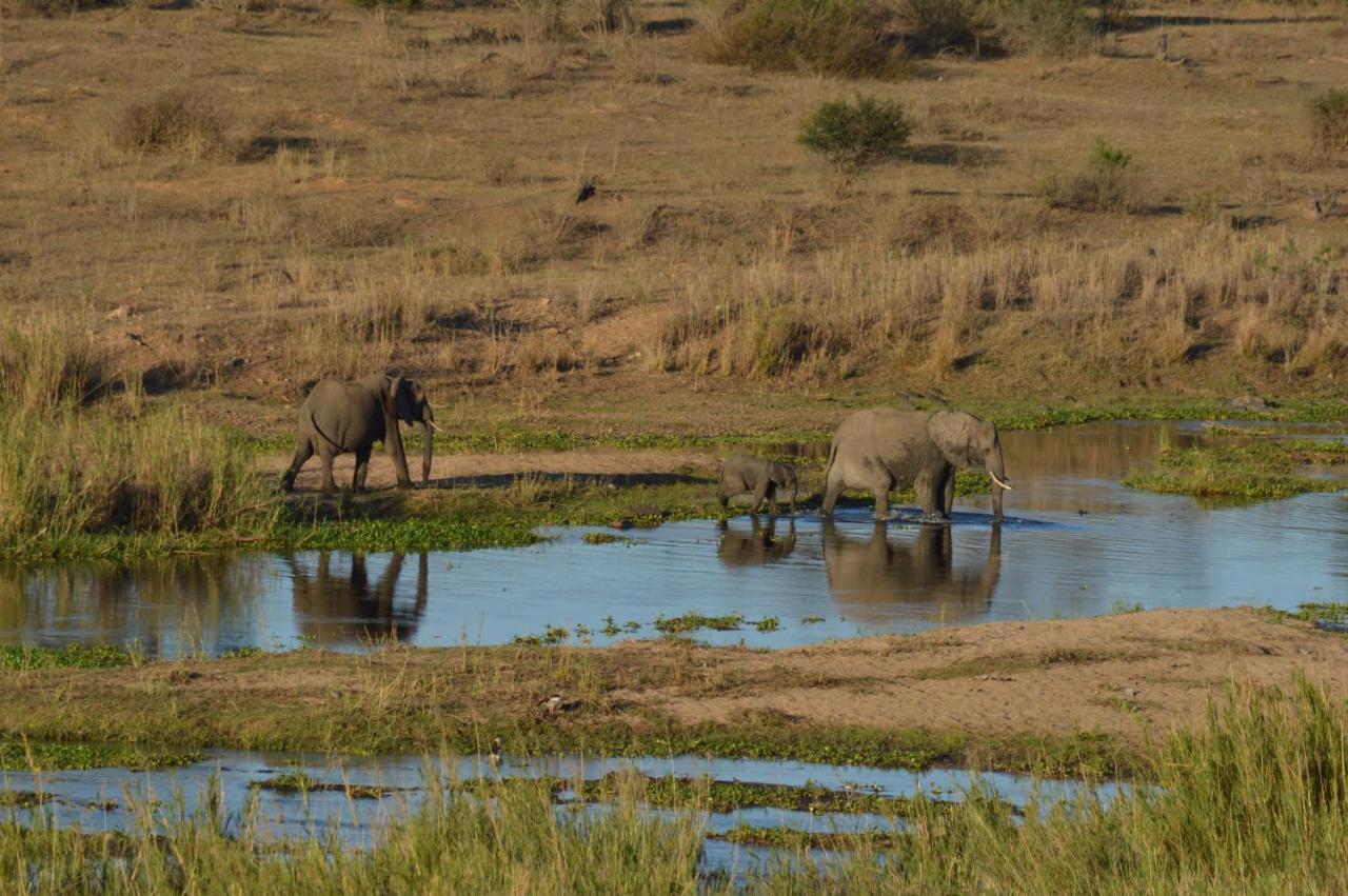 Buckler'S Africa Lodge Kruger Park Komatipoort Eksteriør bilde